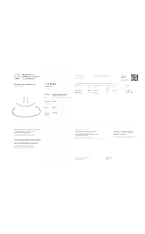 Комплект RalfDiamonds 63,44 ct Natural Diamonds F/VVS2 (38481) №2