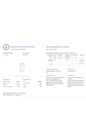 Серьги  3.65 ct Round Diamonds Hoop (38846) №2