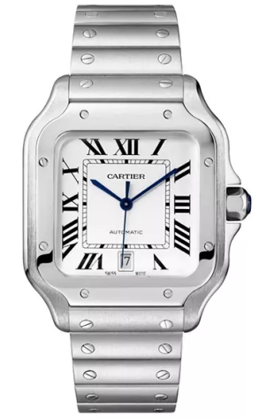 Часы Cartier Santos de WSSA0018 (39860)