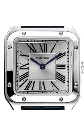 Часы Cartier Santos Dumont WSSA0023 (36904) №6