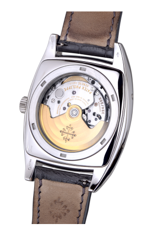 Patek Philippe Complicated Watches 5135