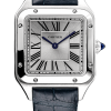 Часы Cartier Santos Dumont WSSA0023 (36904) №7