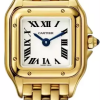 Часы Cartier Panthere De Mini WGPN0036 (39699) №2