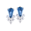 Серьги Harry Winston Aquamarine & Diamonds in Platinum (39266) №2