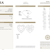 Пусеты GIA 1,00 CT G/VS1 - 1,00 CT G/VS2 Heart Cut DIAMONDS (38384) №6