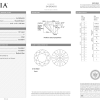 Пусеты GIA 1.01 F/VVS2 - 1.00 ct F/VVS2 EXEXEX Round Cut Diamonds (39635) №5