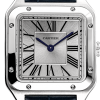 Часы Cartier Santos Dumont WSSA0023 (36904) №12