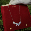 Cartier Caresse d'Orchidées par Cartier Necklace